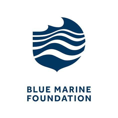 Blue Marine Foundation | Marine conservation charity - raincitystudios.com