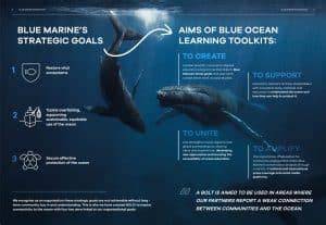 Blue Ocean Learning Toolkits - raincitystudios.com