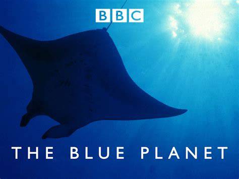 Blue Planet - Live Lesson - BBC Teach - raincitystudios.com