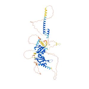 BMAL1 Gene - GeneCards BMAL1 Protein BMAL1 Antibody