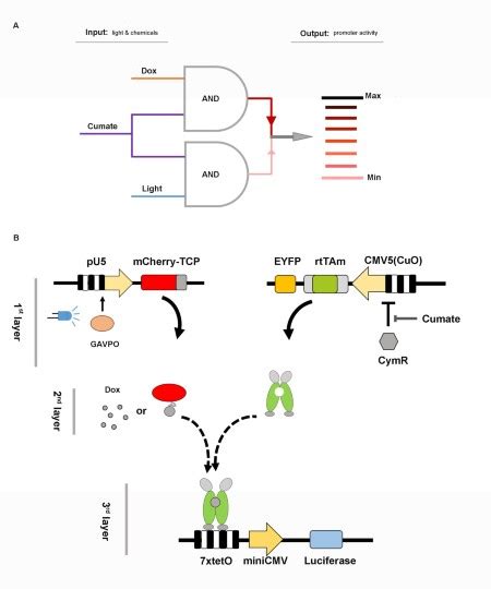 BMC Systems Biology Home page - BioMed Central