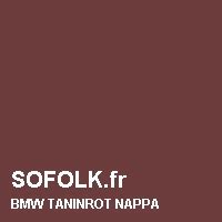 BMW TANINROT : LEATHER PAINT Sofolk