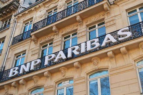 BNP Paribas AM Invests in Forest Restoration Developer Rainforest ... - raincitystudios.com