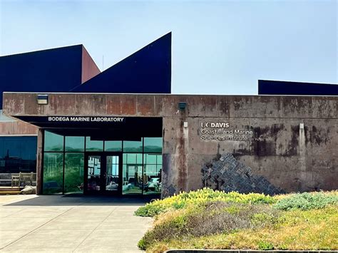 Bodega Marine Laboratory - Coastal and … - raincitystudios.com