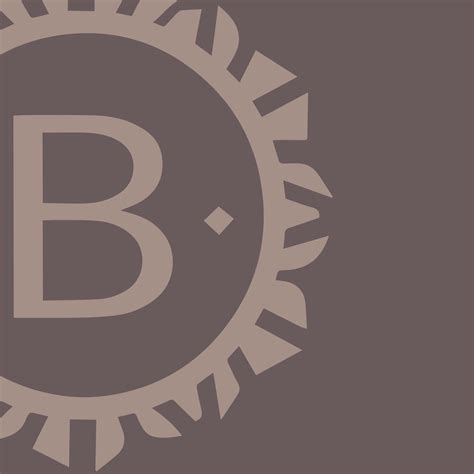 BODILE - Premium Ballet Leotards - muktibox.com