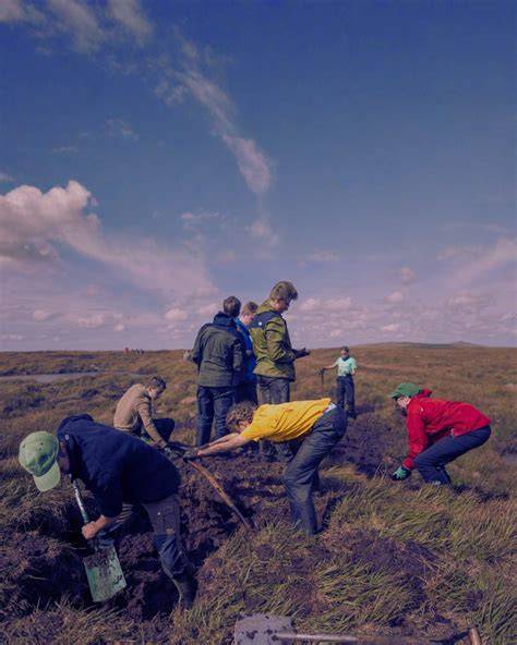 Bog-tastic! | RGS - raincitystudios.com