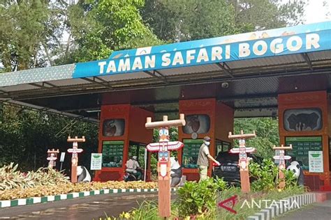 BOGOR BARAT taman ML & foto gaya viral hemat waktu terhipnotis sama auranya 81 saat hari sabtu image 1