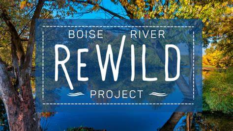 Boise River ReWild Project - Golden Eagle Audubon - raincitystudios.com