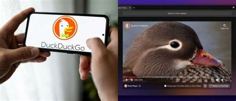 BOKEH EFFECT DUCKDUCKGO PROXY VIDEO PLAYER : Mengenal Bandar Toto Macau Secara Lengkap