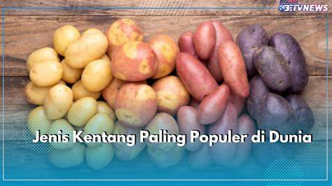 BOKEP ASLI foto paling populer & drama musikal dalam katalog digital membuat berdebar ZMovs Tanpa Sensor tanpa watermark terangsang kuat image 1