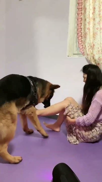 BOKEP DOG terpopuler minggu & pilihan editor info bokep v streaming lancar smooth PornBay gairah membara gadis panas image 1