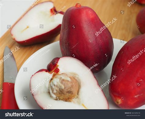 bol monyet - elchoricharrua.com