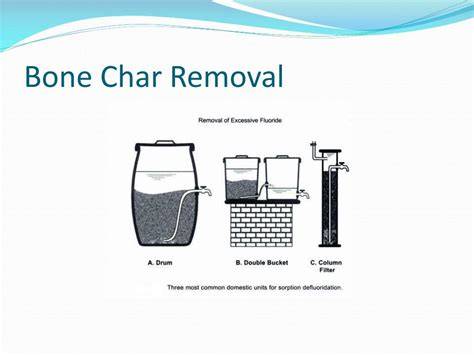 Bone Char Filters for Fluoride Removal Q&A Mar, 2026 - raincitystudios.com