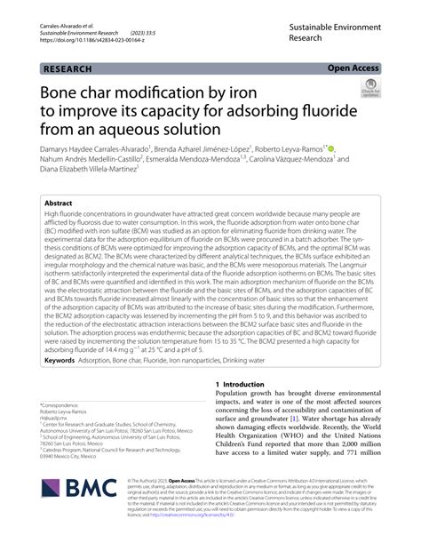BONE CHAR for FLUORIDE and HEAVY METAL … - raincitystudios.com