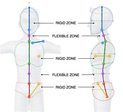 Bone Positioning Guide - Blender 5.1 Manual - muktibox.com