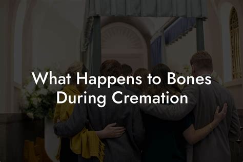 Bones After Cremation - wintechmobiles.com
