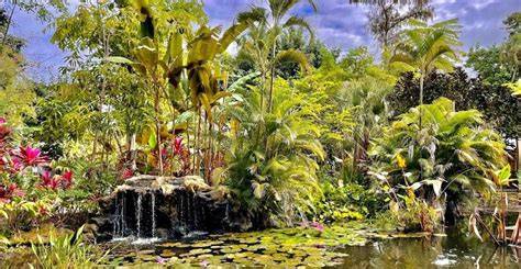 Bonita Wonder Gardens - raincitystudios.com