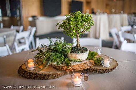 Bonsai as Table Decor: Centerpieces & Tabletop Displays - raincitystudios.com