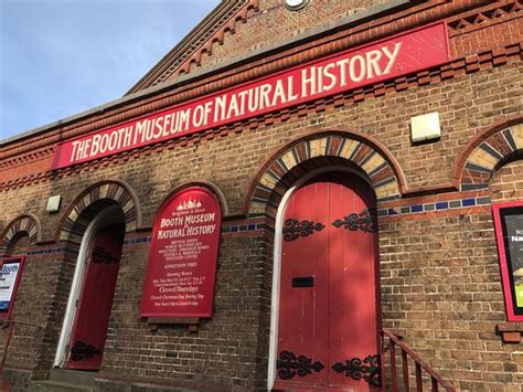 BOOTH MUSEUM OF NATURAL HISTORY (Brighton) - Tripadvisor