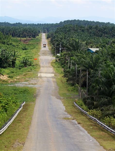 Borneo (Including Sebatik) - Springer - wintechmobiles.com