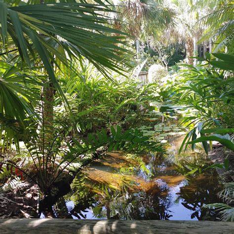 botanical, adj. & n. meanings, etymology and more | Oxford English ... - raincitystudios.com