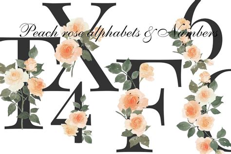 Botanical Floral Alphabet Numbers Clipart, Vintage Butterfly ... - Etsy - muktibox.com