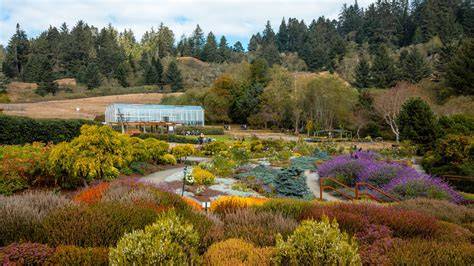 Botanical garden | Plant Conservation, Education - raincitystudios.com