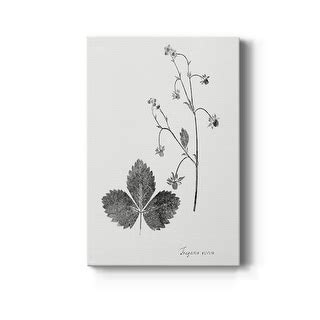 Botanical Imprint - Etsy - muktibox.com