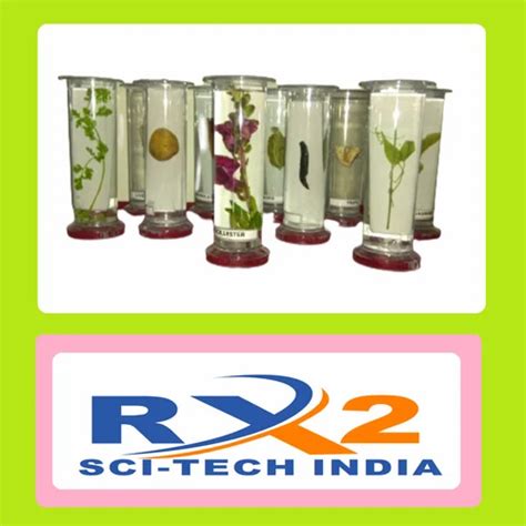 Botany Specimen Preparation | The Society for the Preservation of ... - muktibox.com