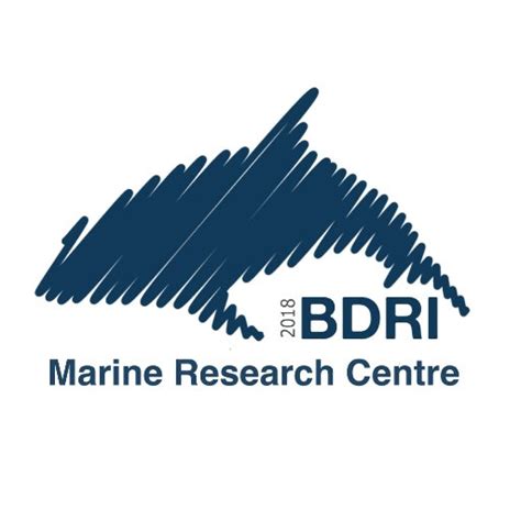Bottlenose Dolphin Research Institute BDRI - raincitystudios.com
