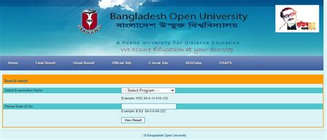 BOU BA/BSS Result 2024 exam.bou.edu.bd Result - Job News BD