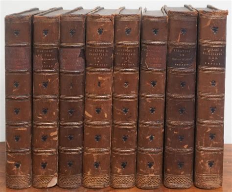 Bound Volumes Leather - National Archives - muktibox.com