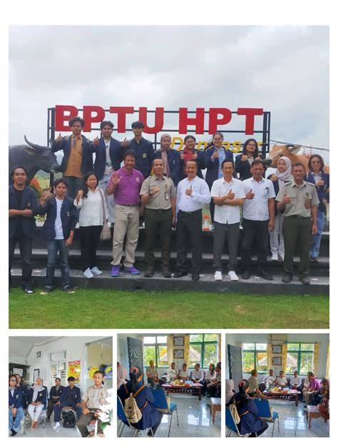 BPTU-HPT | Home - raincitystudios.com
