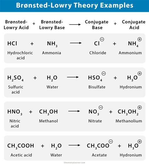Brønsted-Lowry Acid Theory of Acid and Bases - wintechmobiles.com