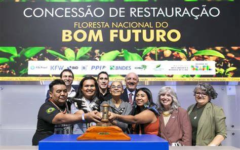 Brazil awards first Amazon reforestation concession to startup … - raincitystudios.com