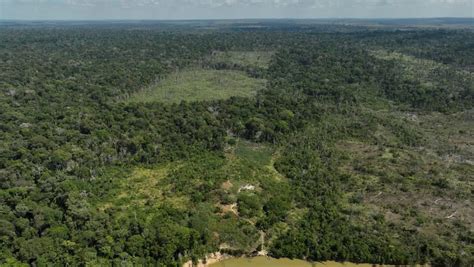 Brazil creates protected areas in Rio Grande do Sul to conserve ... - raincitystudios.com