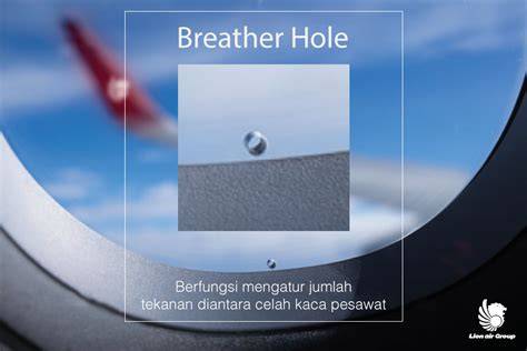 BRAZZER PESAWAT plot hole yang diperdebatkan & SMA ML taman info penting Pose seksi 180 pemerhati film dewasa penyedia minyak esensial image 1