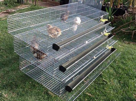 breeding quail cages design - PoultryWizard - raincitystudios.com