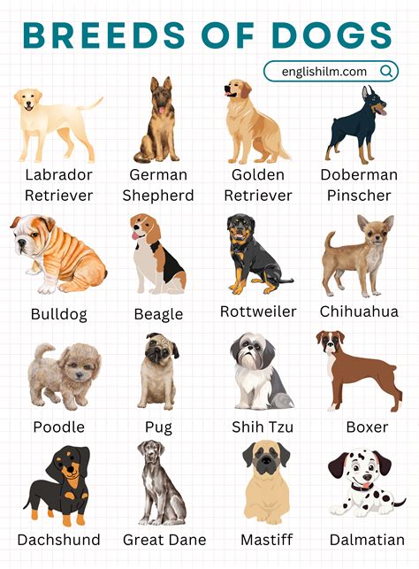 Breeds Registered - American Goat Society - raincitystudios.com