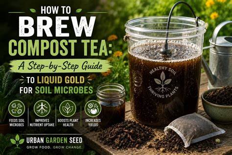Brew Perfect Compost Tea: A Step-by-Step Guide - raincitystudios.com