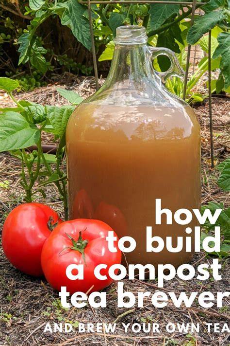 Brew Your Own Compost Tea - DIY Compost Fertilizer - raincitystudios.com