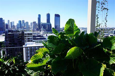Brisbane Green Factor | Brisbane Green Factor - raincitystudios.com