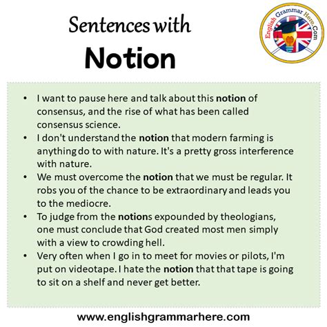 BROADER NOTION in a sentence Usage examples