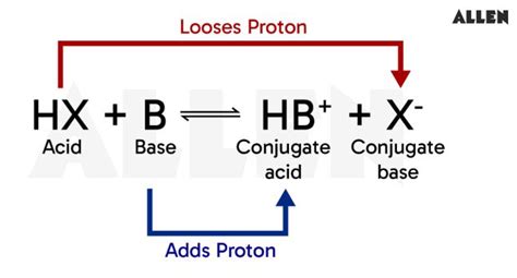 BRONSTED -LOWRY ACID BASE THEORY - IDC-Online - wintechmobiles.com