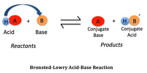Bronsted-Lowry Acids and Bases Explained: Definition ... - Pearson - wintechmobiles.com