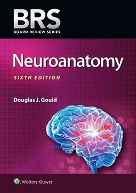 Download Brs Neuroanatomy By Douglas J Gould