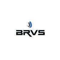 BRVS Group Company Profile Management and Employees List