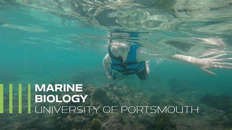BSc Marine Biology | Undergraduate Degrees - raincitystudios.com