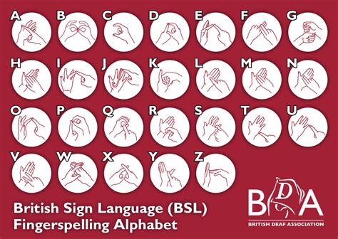 BSL & ASL Video Translation | Live Translator for ASL … - coolestguyplanet.net
