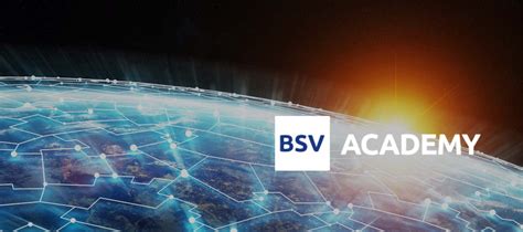 BSV Academy - BSV Blockchain - coolestguyplanet.net
